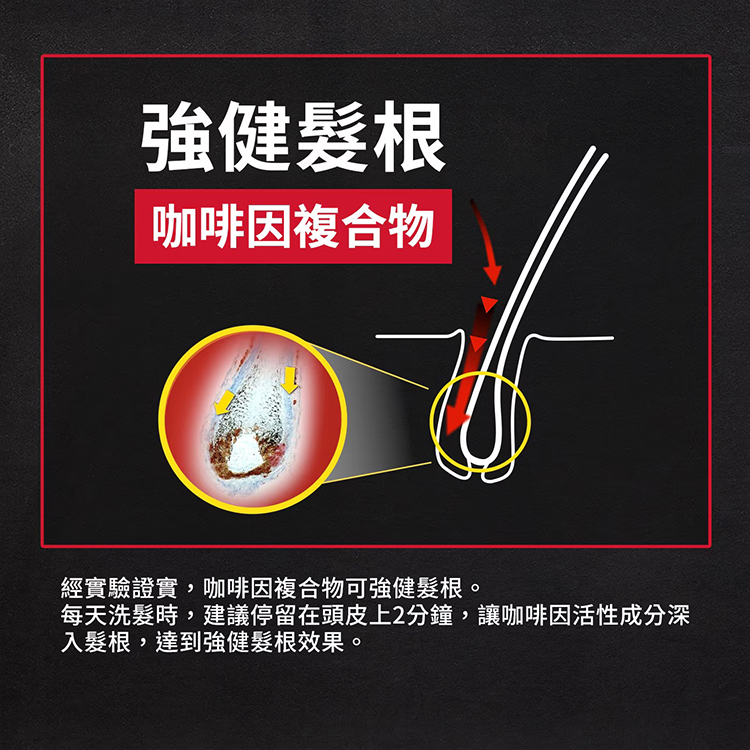 Alpecin 咖啡因洗髮露 PUMP 900毫升,CS0272,Alpecin咖啡因洗髮露PUMP900毫升,全館商品,生活用品,新品上市