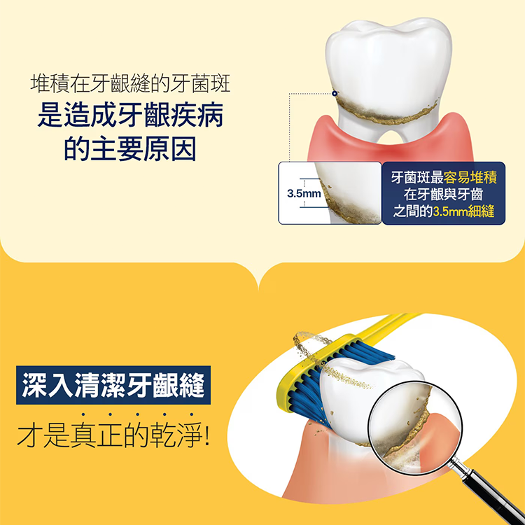 麗奇 亮彩護齦牙刷 10入組,CS0293,麗奇亮彩護齦牙刷10入組,生活用品,新品上市,COSTCO限定