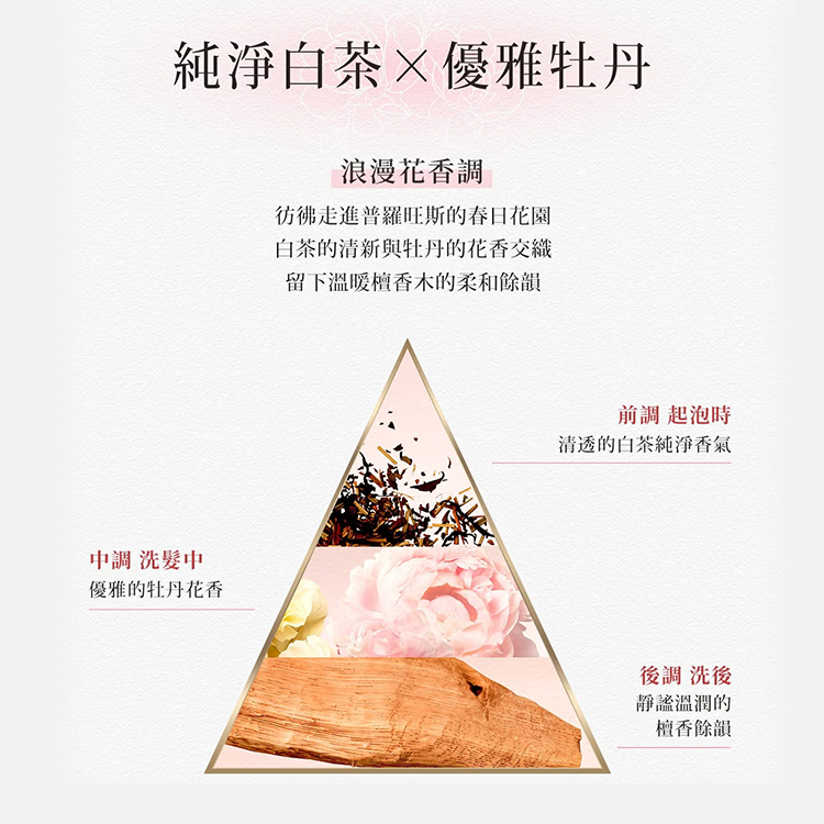 潘婷 白茶牡丹香氛洗護組 洗髮露 440公克 + 護髮素 440公克,CS0303,潘婷白茶牡丹香氛洗護組洗髮露440公克+護髮素440公克,全館商品,生活用品,新品上市