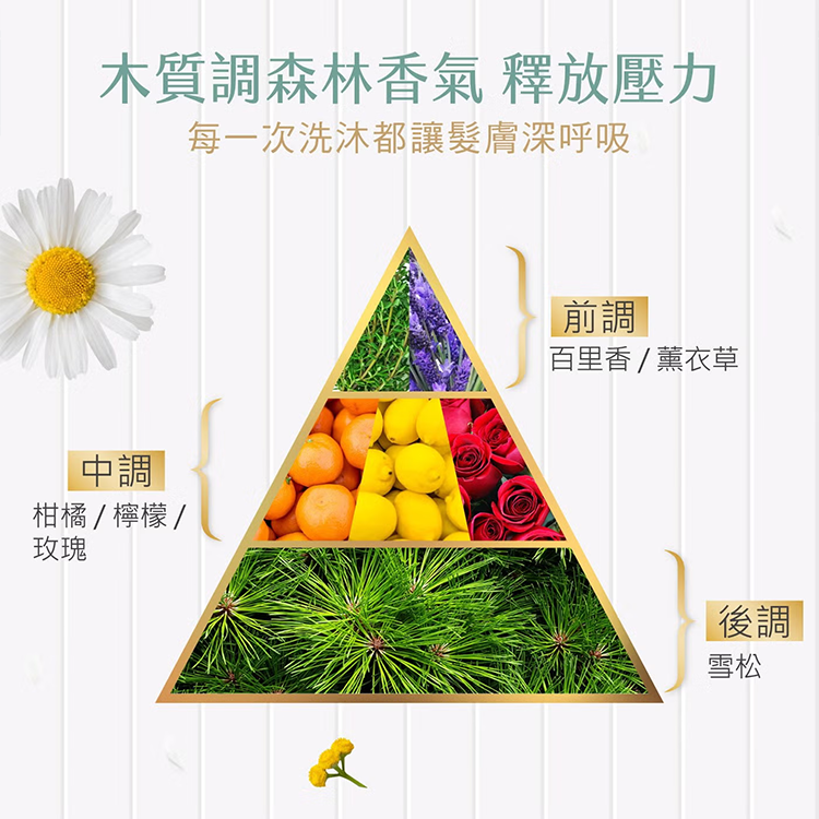 森歐黎漾 植研萃淨平衡 洗髮露 1200毫升,CS0304,森歐黎漾植研萃淨平衡洗髮露1200毫升,全館商品,生活用品,新品上市