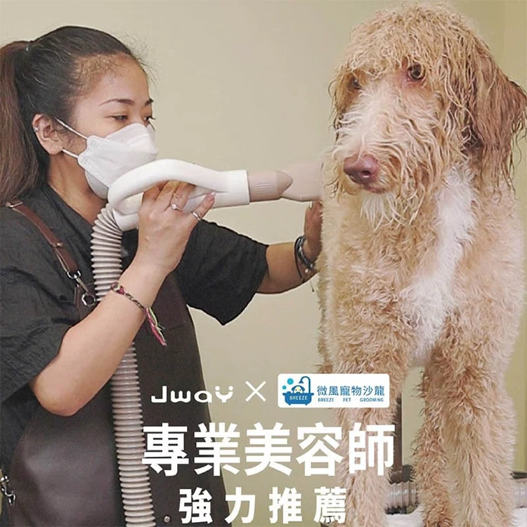 【JWAY直覺】Jway 寵物溫控負離子吹乾機 (JY-PD01),GF0939,【JWAY直覺】Jway寵物溫控負離子吹乾機(JY-PD01),全館商品,質感家電,電暖/小型烘乾機