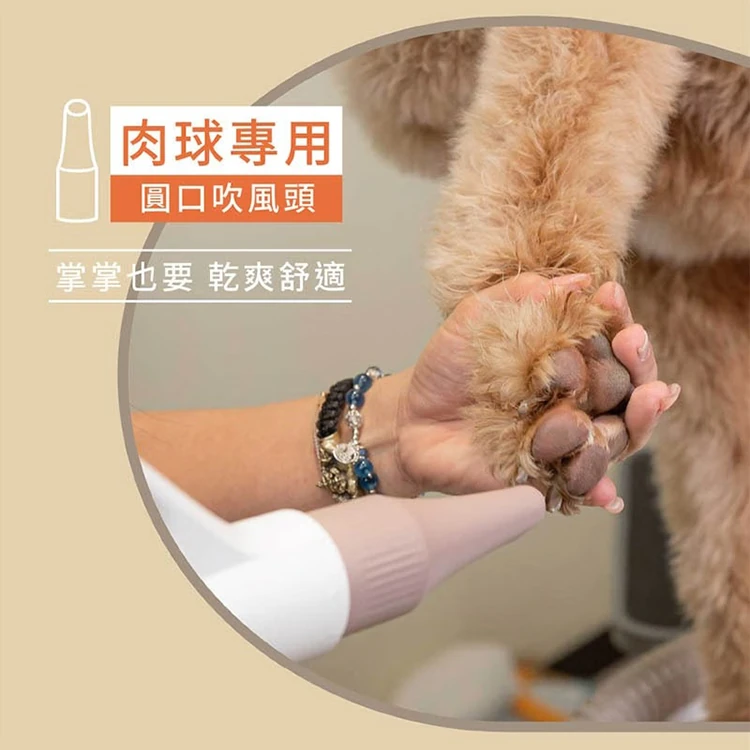 【JWAY直覺】Jway 寵物溫控負離子吹乾機 (JY-PD01),GF0939,【JWAY直覺】Jway寵物溫控負離子吹乾機(JY-PD01),全館商品,質感家電,電暖/小型烘乾機