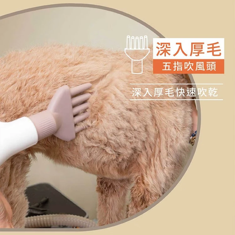 【JWAY直覺】Jway 寵物溫控負離子吹乾機 (JY-PD01),GF0939,【JWAY直覺】Jway寵物溫控負離子吹乾機(JY-PD01),全館商品,質感家電,電暖/小型烘乾機