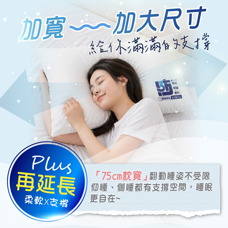 【MAXRO】島呼枕 三防科技羽絲絨枕 (MX-BP08),GF2380,【MAXRO】島呼枕三防科技羽絲絨枕(MX-BP08),全館商品,生活用品,新品上市